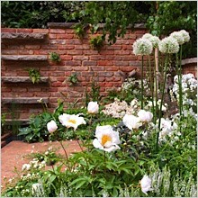 white-flower-brick_wall-garden