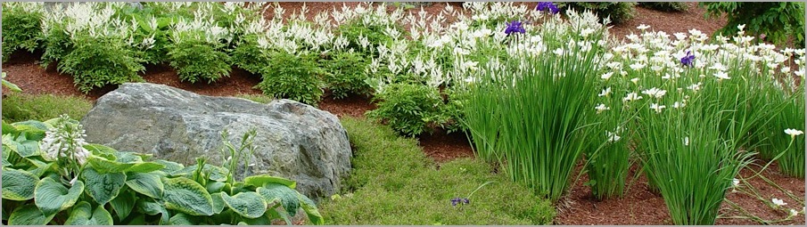 Business Park Garden Detail